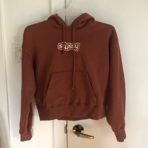 Stussy cropped hoodie in brown